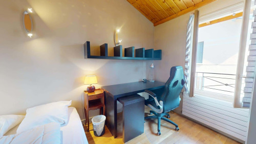 Room in Impasse Alexandre Aujas, Lyon for 145 m² with 4 bedrooms - Gallery - 21