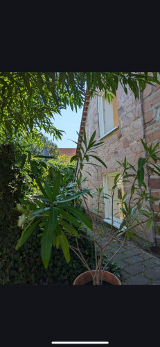 High-End Furnished Loft with Gallery, Private Garden & Carport - Gallery - 7