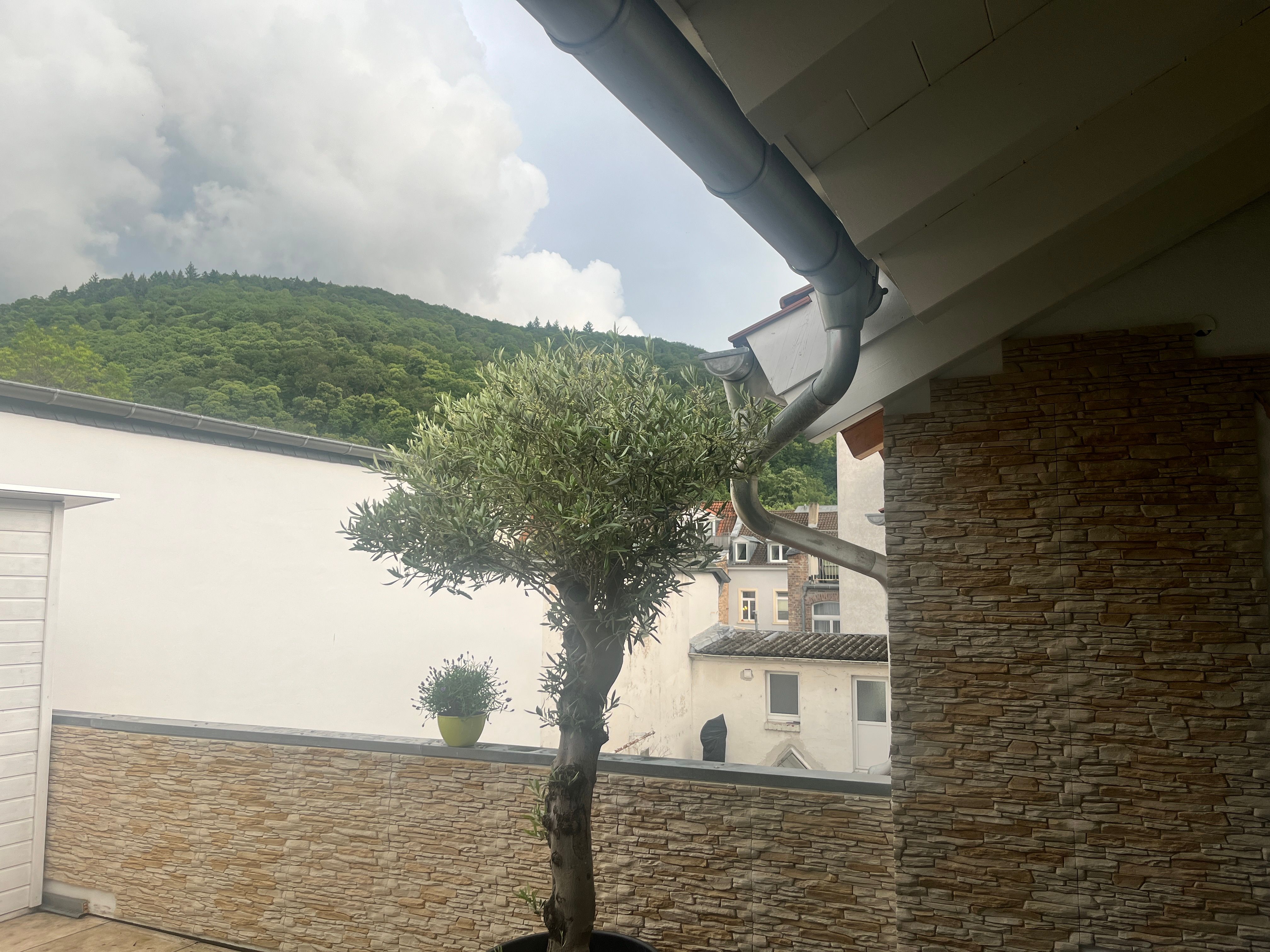 Beautiful Loft In The Centre Of Heidelberg - 6