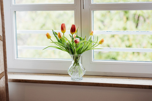 Modern apartment - first rent after core renovation; In the old town of Tübingen - Gallery - 51