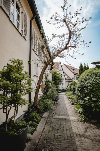 Modern apartment - first rent after core renovation; In the old town of Tübingen - Gallery - 17