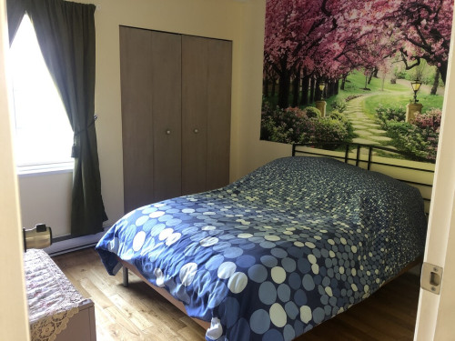 Precella’s House - Gallery - 2