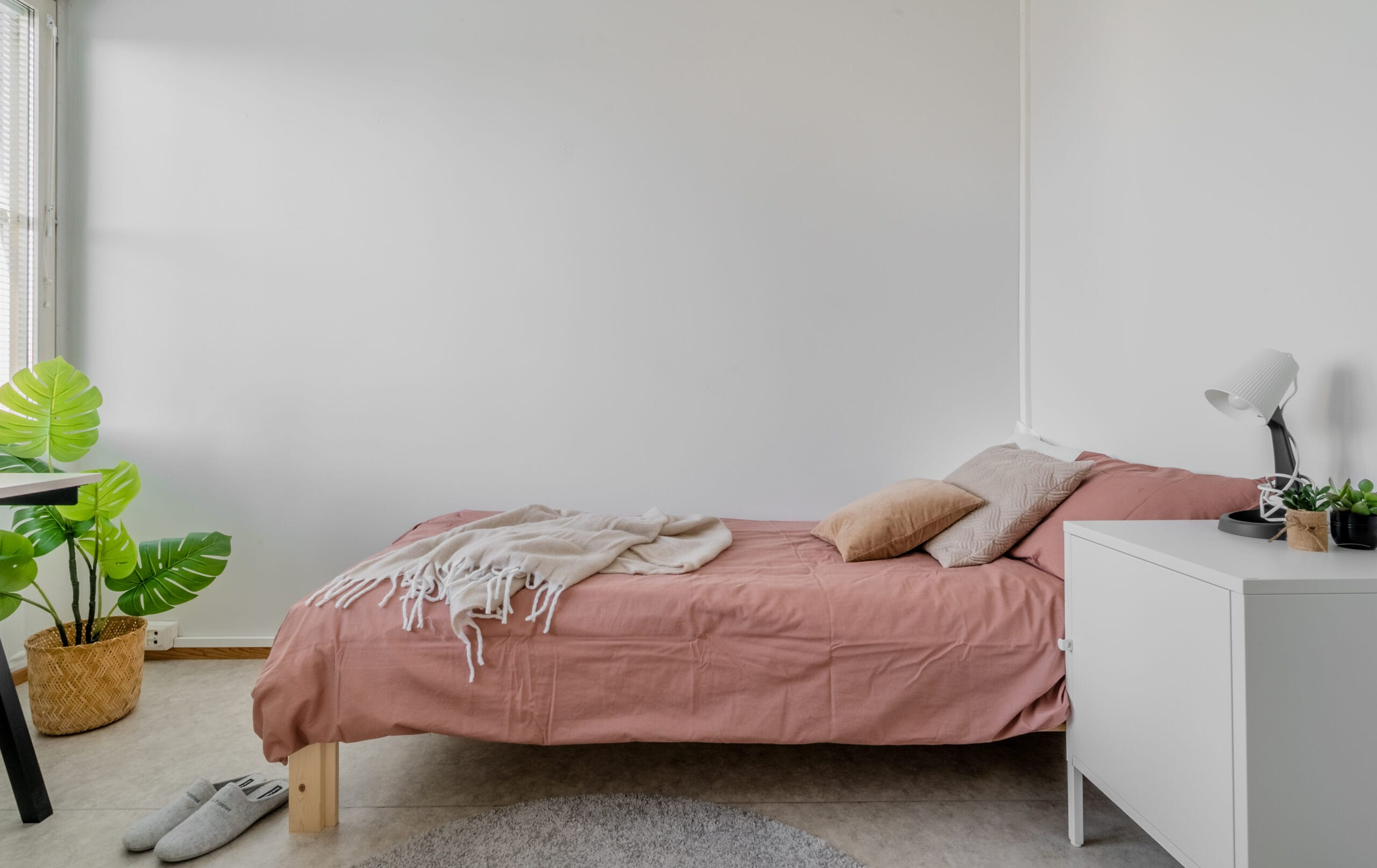 Single Room - 1