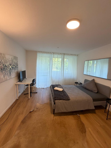 Spacious 4-Bedroom Apartment in Central Frankfurt | Zeil - Gallery - 25