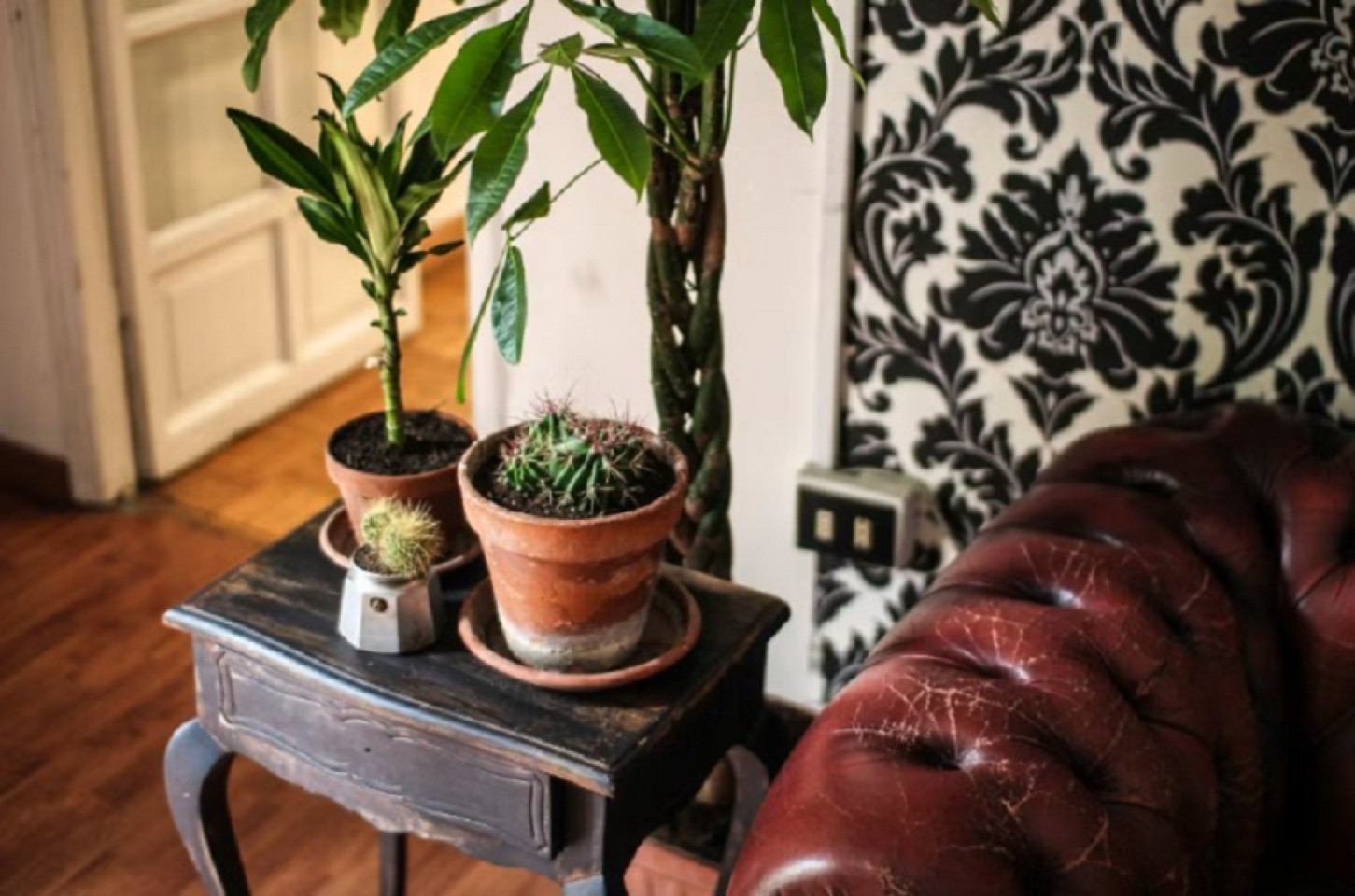 Traditional Styled Apt. w/ Coworking