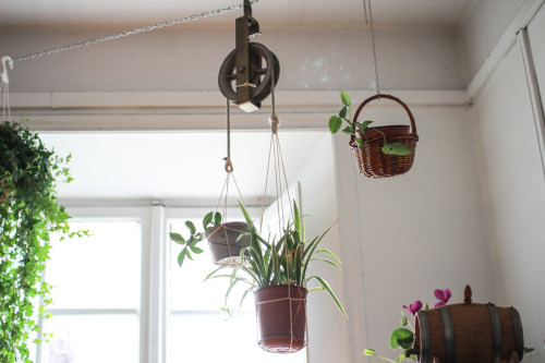 Glorioso Home - Gallery - 6