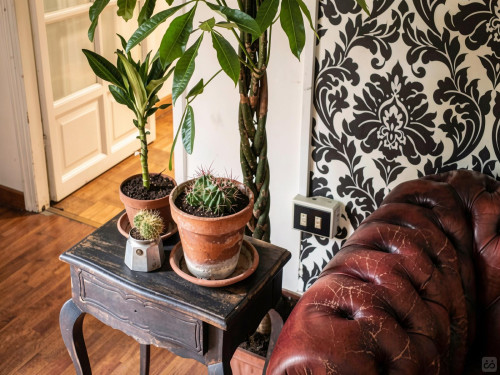 Glorioso Home - Gallery - 15