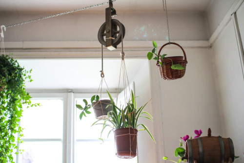 Glorioso Home - Gallery - 20