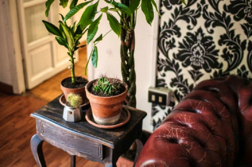 Glorioso Home - Gallery - 25