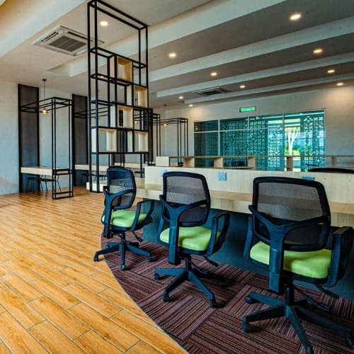 Study Area
