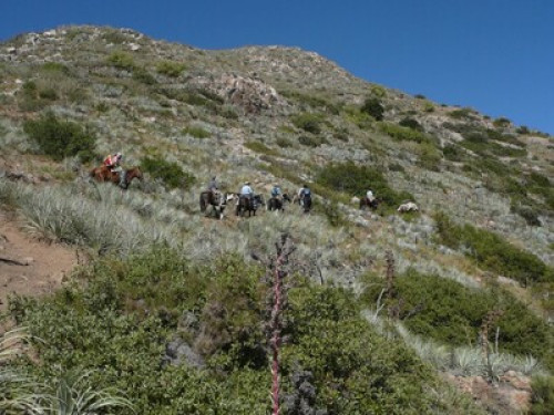 La tranquilidad de la montaña - Gallery - 6
