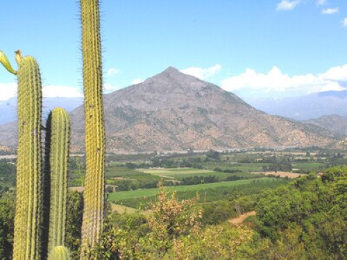 La tranquilidad de la montaña - Gallery - 10