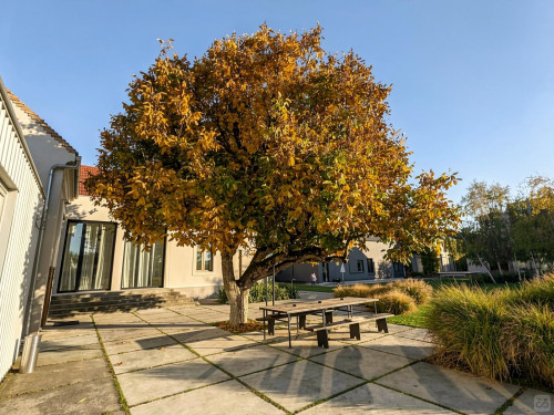 Svetog Save Residence - Gallery - 94