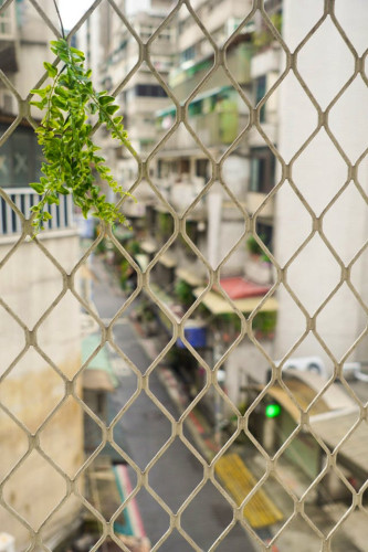 Shuangcheng Residence - Gallery - 24