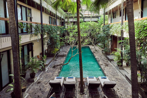 Stunning Jungle Oasis Villa w/ Lounge Areas + Pool