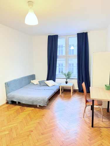 Comfortable, specious room in the center - Gallery - 14