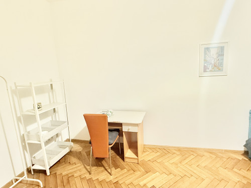 Comfortable, specious room in the center - Gallery - 3