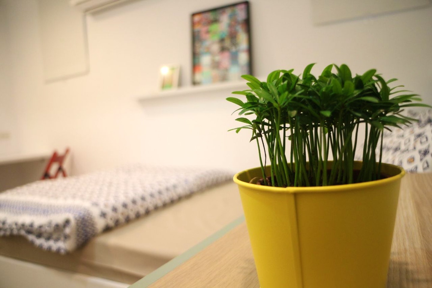B - Single Room - Colorful Vintage Style Apt. w/ Workspace + Rooftop Deck - Gallery - 2