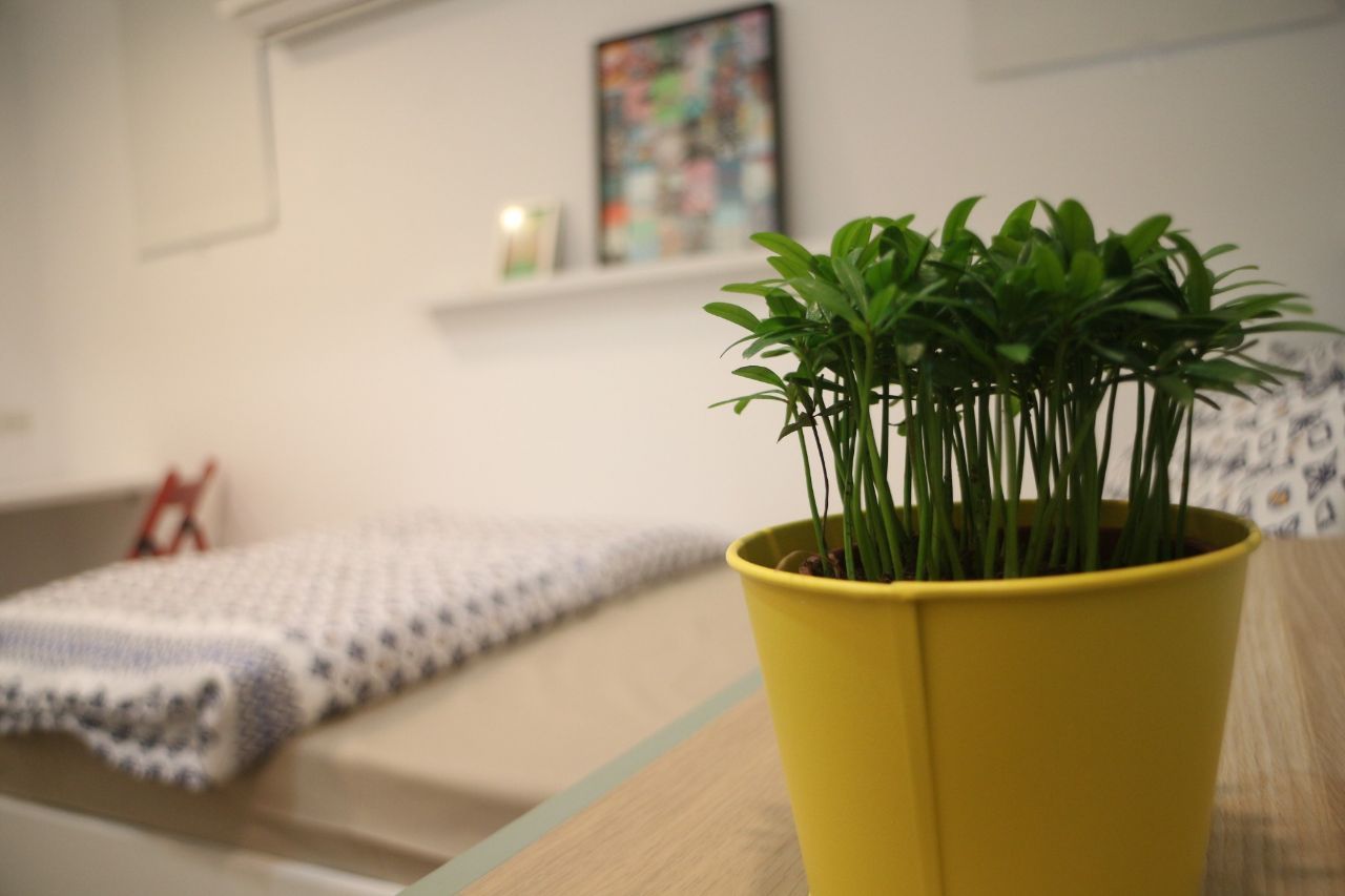 B - Single Room - Colorful Vintage Style Apt. w/ Workspace + Rooftop Deck - Gallery - 11