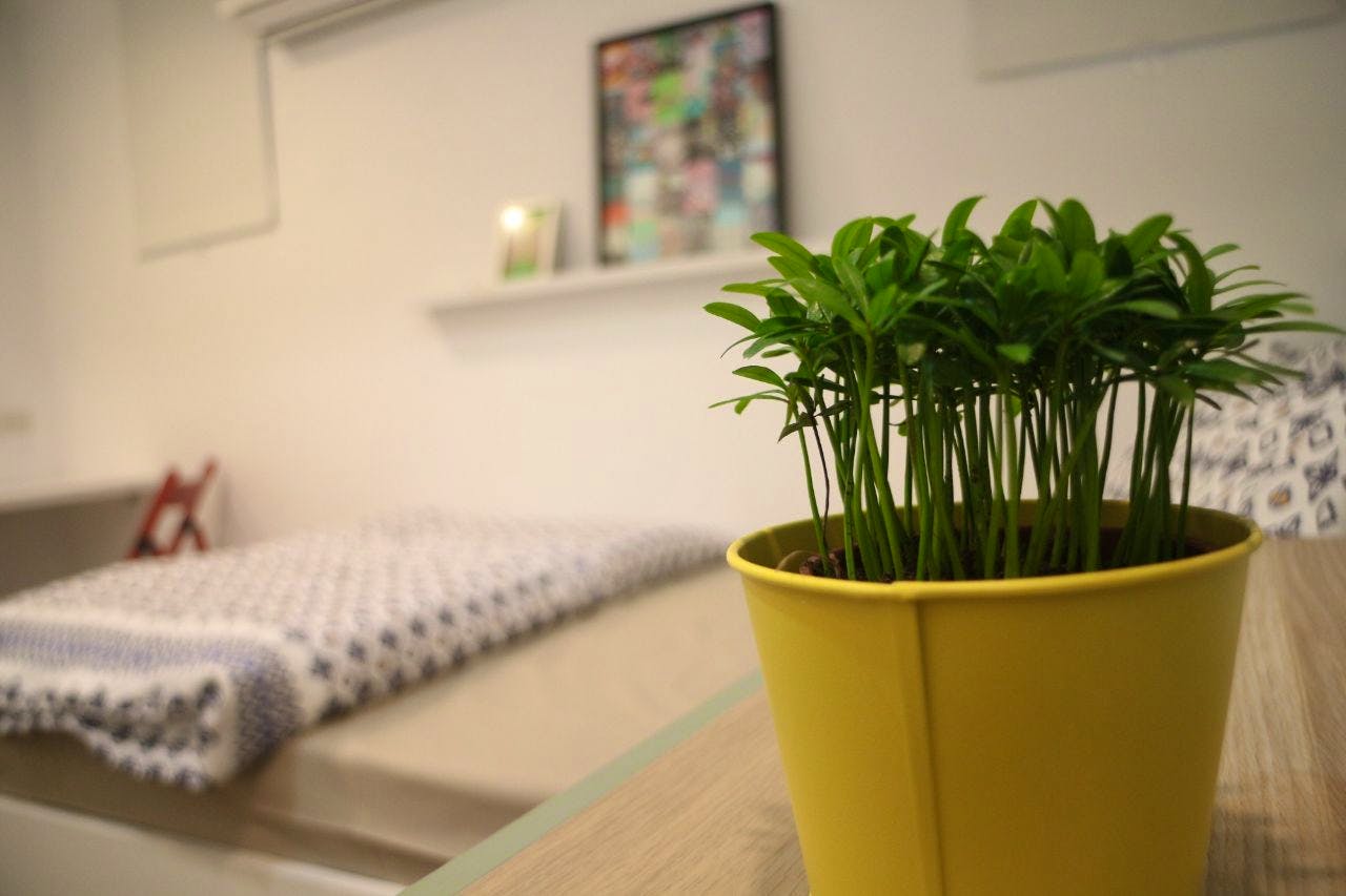 B - Single Room - Colorful Vintage Style Apt. w/ Workspace + Rooftop Deck - Gallery - 8
