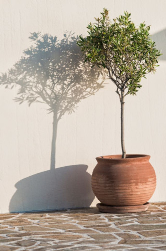 Generous Modern Villa Overlooked The Sea w/ Coworking + Pool