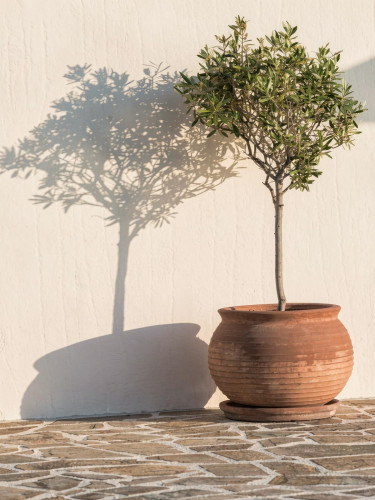 Petra Home - Gallery - 12