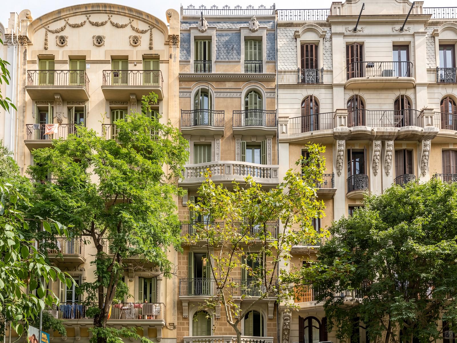 Gorgeous apartment near Sagrada Familia Collective