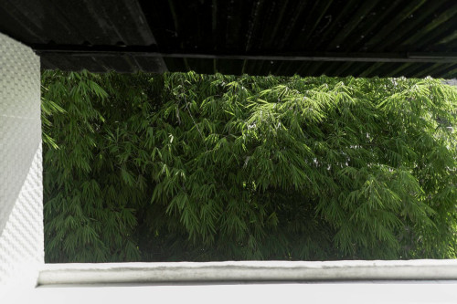 Dalung Residence - Gallery - 83
