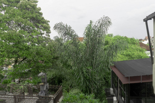 Dalung Residence - Gallery - 30