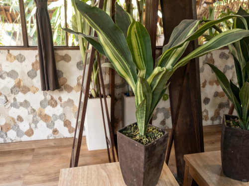 Dalung Residence - Gallery - 109