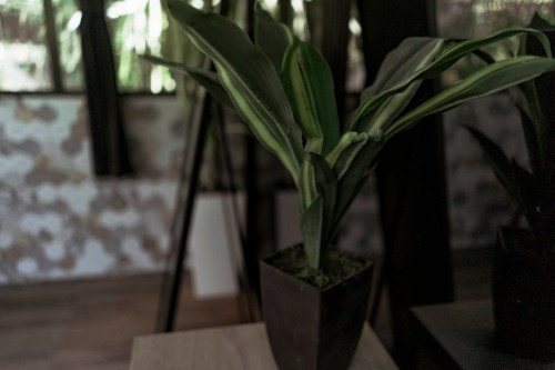 Dalung Residence - Gallery - 76