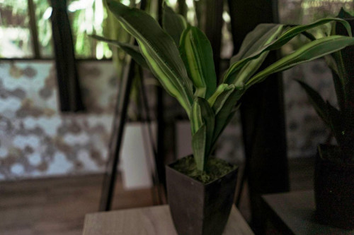 Dalung Residence - Gallery - 44