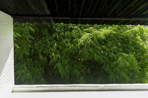 Dalung Residence - Gallery - 51