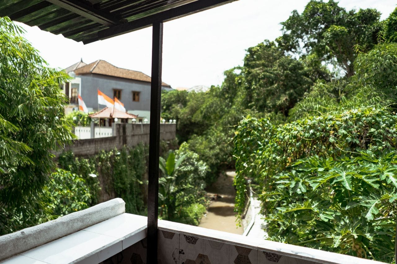  Jungle View Suite  -  Exotic Jungle Villa w/ Coworking + Rooftop Deck  - Gallery -  19