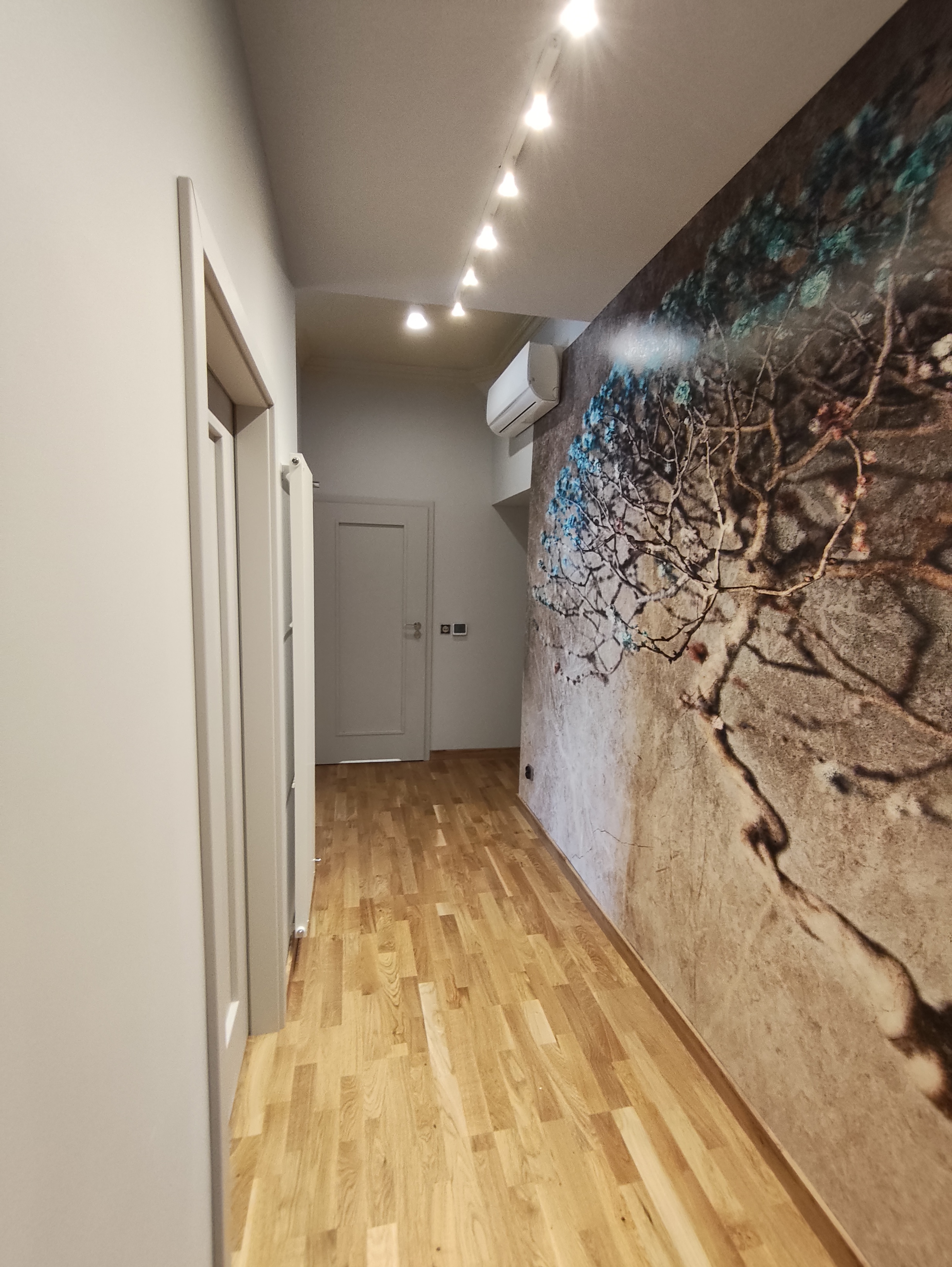 Jewish Quarters, Best To Study&have Fun - 9
