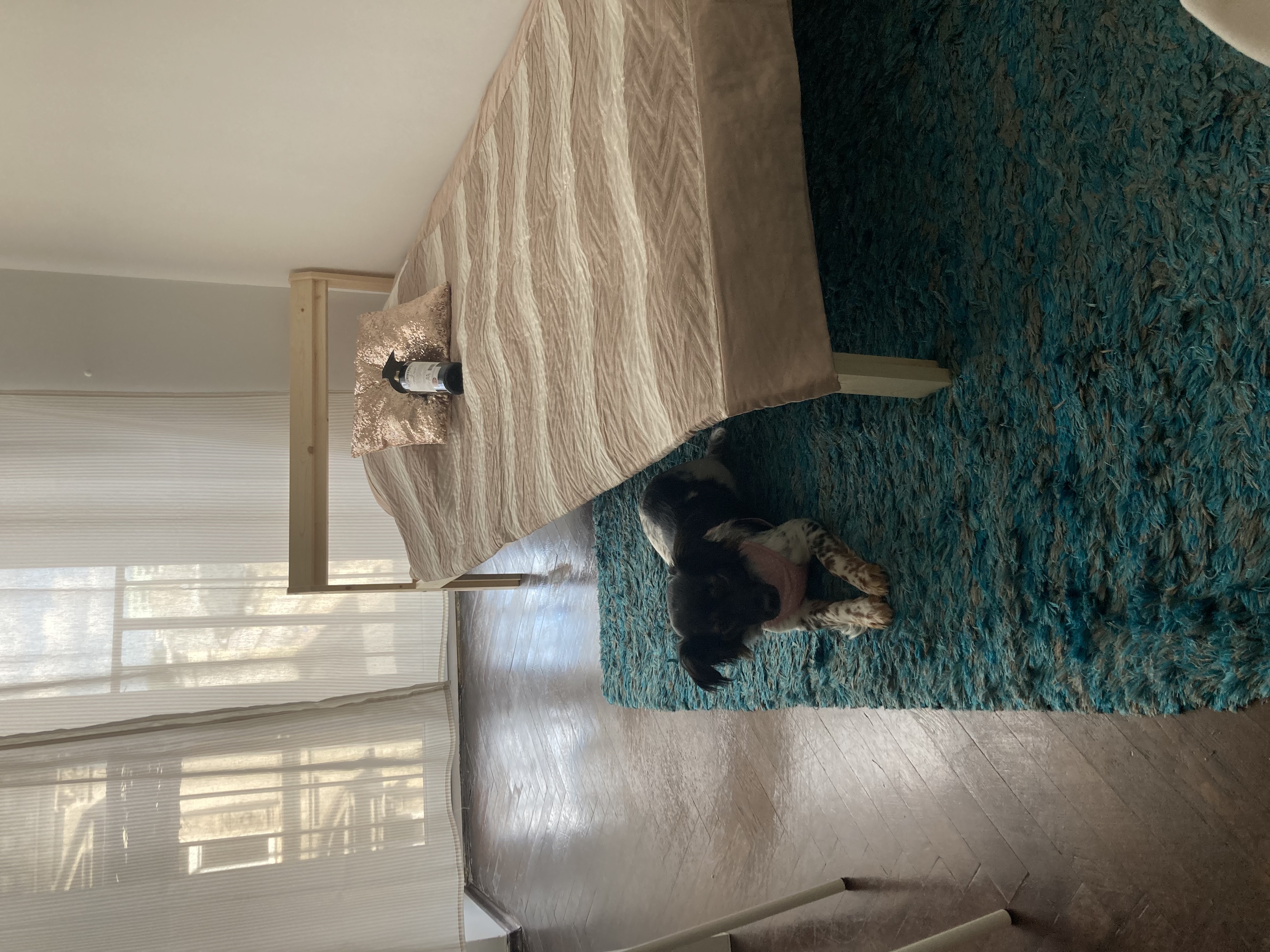 Single Room In 2 Bedroom Apartment - 21
