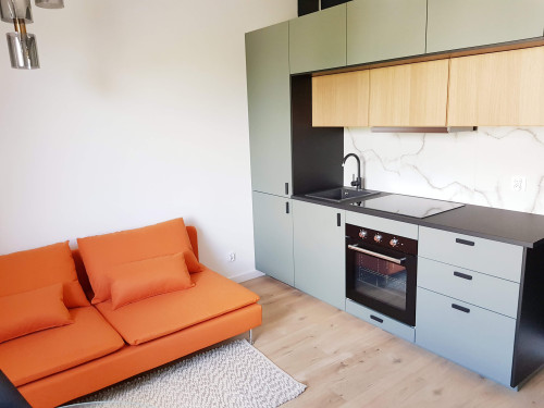 2 rooms flat, city centre, Manufaktura