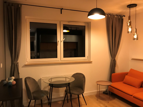 2 rooms flat, city centre, Manufaktura - Gallery - 4