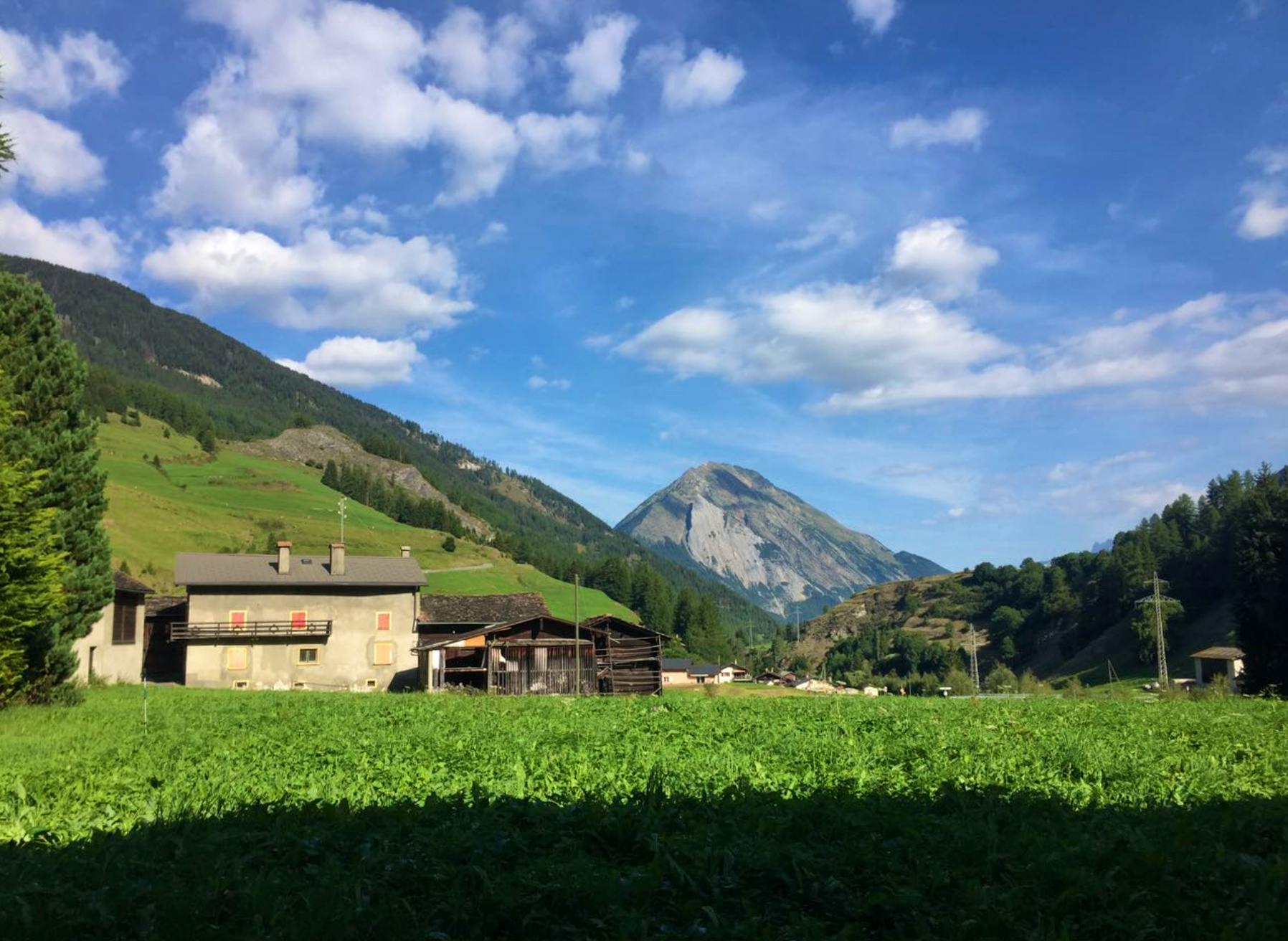Cozy Chalet Overlooking the Alps w/ Garden + Coworking