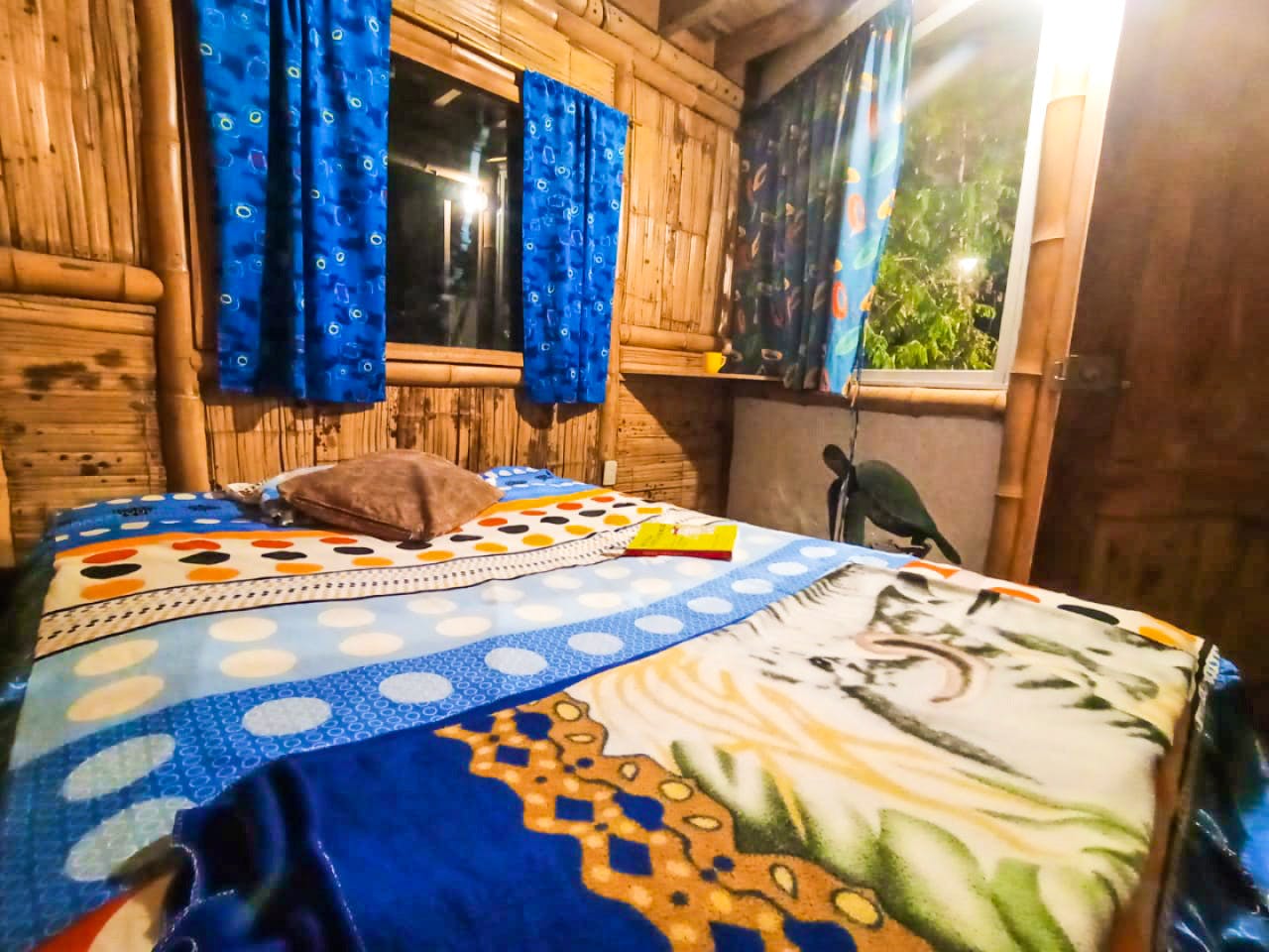  Private 6  -  Beachfront Bamboo Villa w/ Coworking + Outdoors Areas  - Gallery -  4