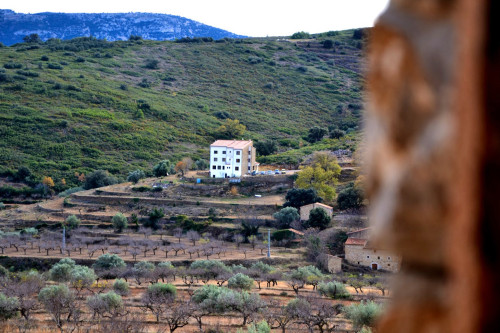 Masia Molí Toni Residence - Gallery - 54