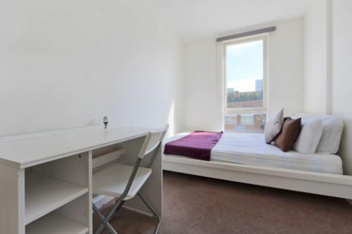 Canary House  - Gallery -  4