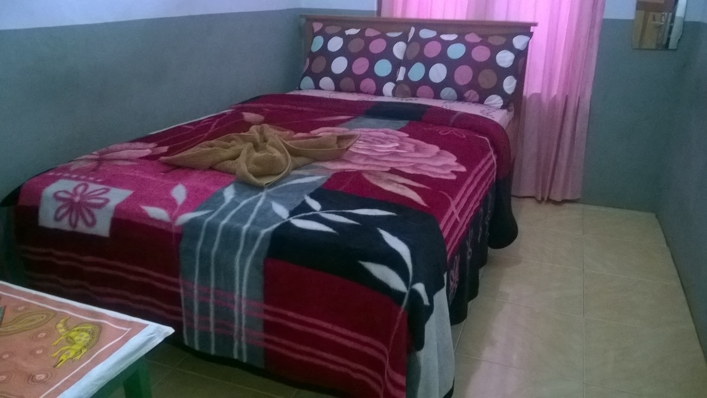 Standar Room(Single Bed) - 1