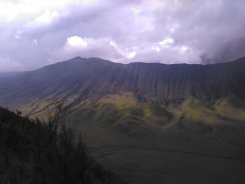 Homestay near Bromo Volcano - Gallery - 11