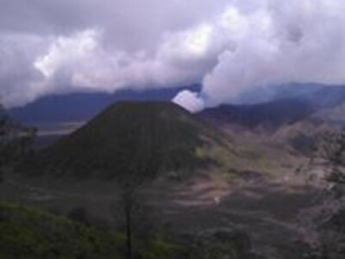 Homestay near Bromo Volcano - Gallery - 13