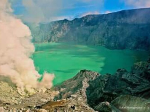 Homestay near Bromo Volcano - Gallery - 8