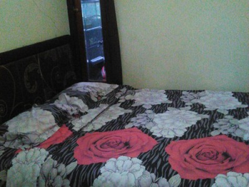 Homestay near Bromo Volcano - Gallery - 3