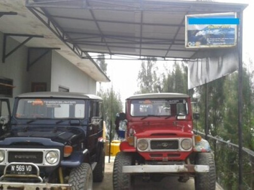 Homestay near Bromo Volcano - Gallery - 5