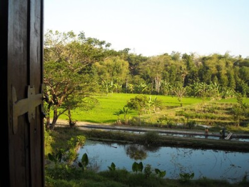 Amazing View&Privacy, close by city - Gallery - 11