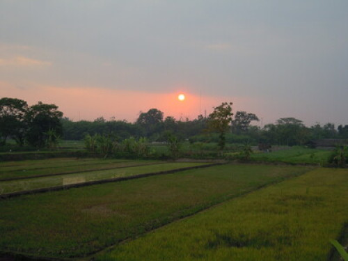 we love to show you Yogyakarta - Gallery - 5